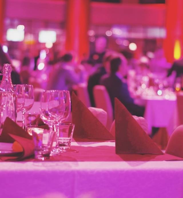 banquet-dinner-pink-lights-people-2024-11-26-03-48-58-utc